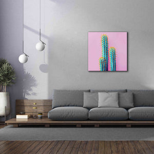 'Bubble Gum Cactus' by Epic Portfolio, Giclee Canvas Wall Art,37x37