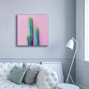 'Bubble Gum Cactus' by Epic Portfolio, Giclee Canvas Wall Art,37x37