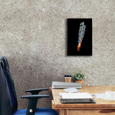 Image of 'Deep Sea Rocket' by Epic Portfolio, Giclee Canvas Wall Art,12x18