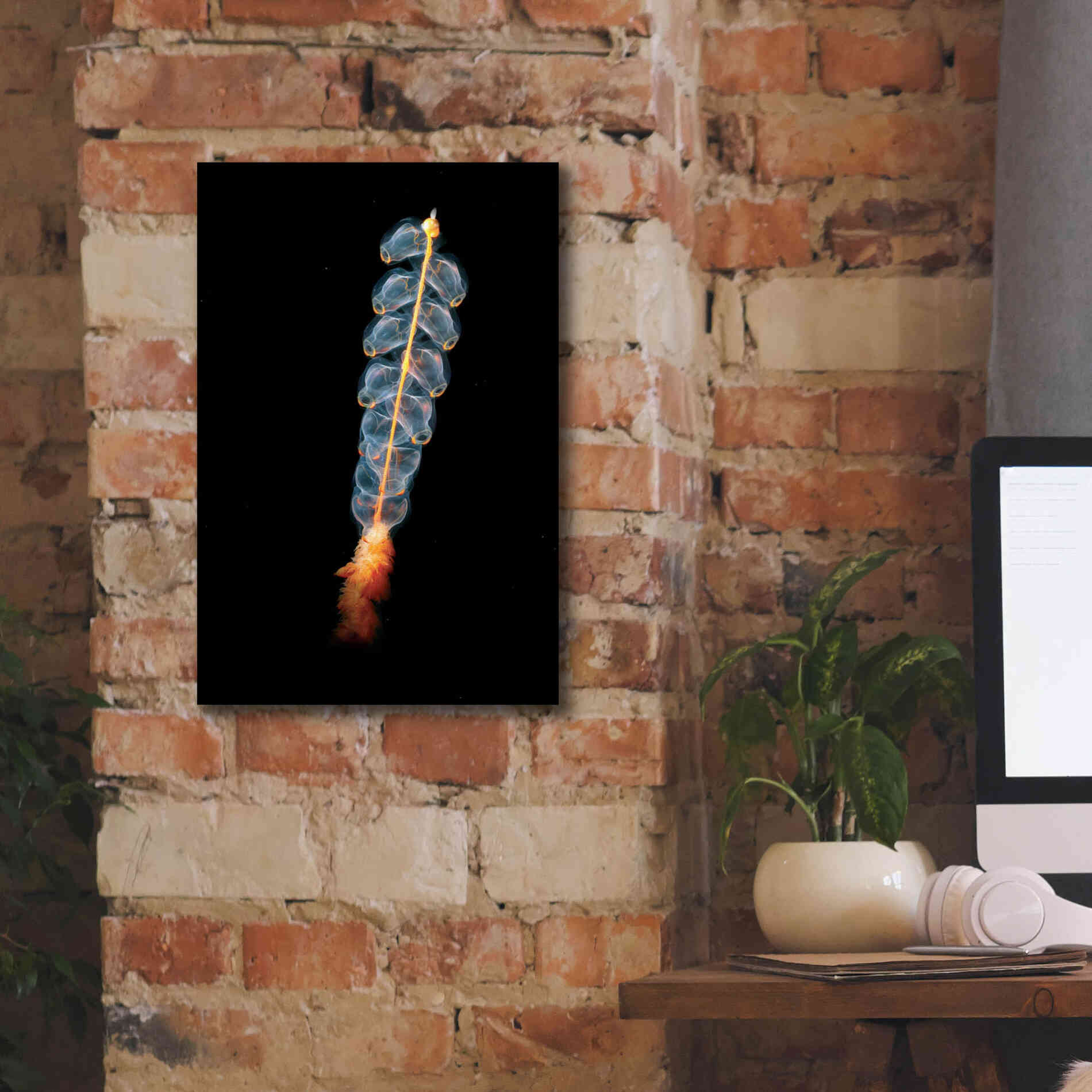 'Deep Sea Rocket' by Epic Portfolio, Giclee Canvas Wall Art,12x18