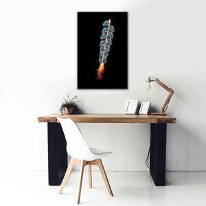 'Deep Sea Rocket' by Epic Portfolio, Giclee Canvas Wall Art,26x40