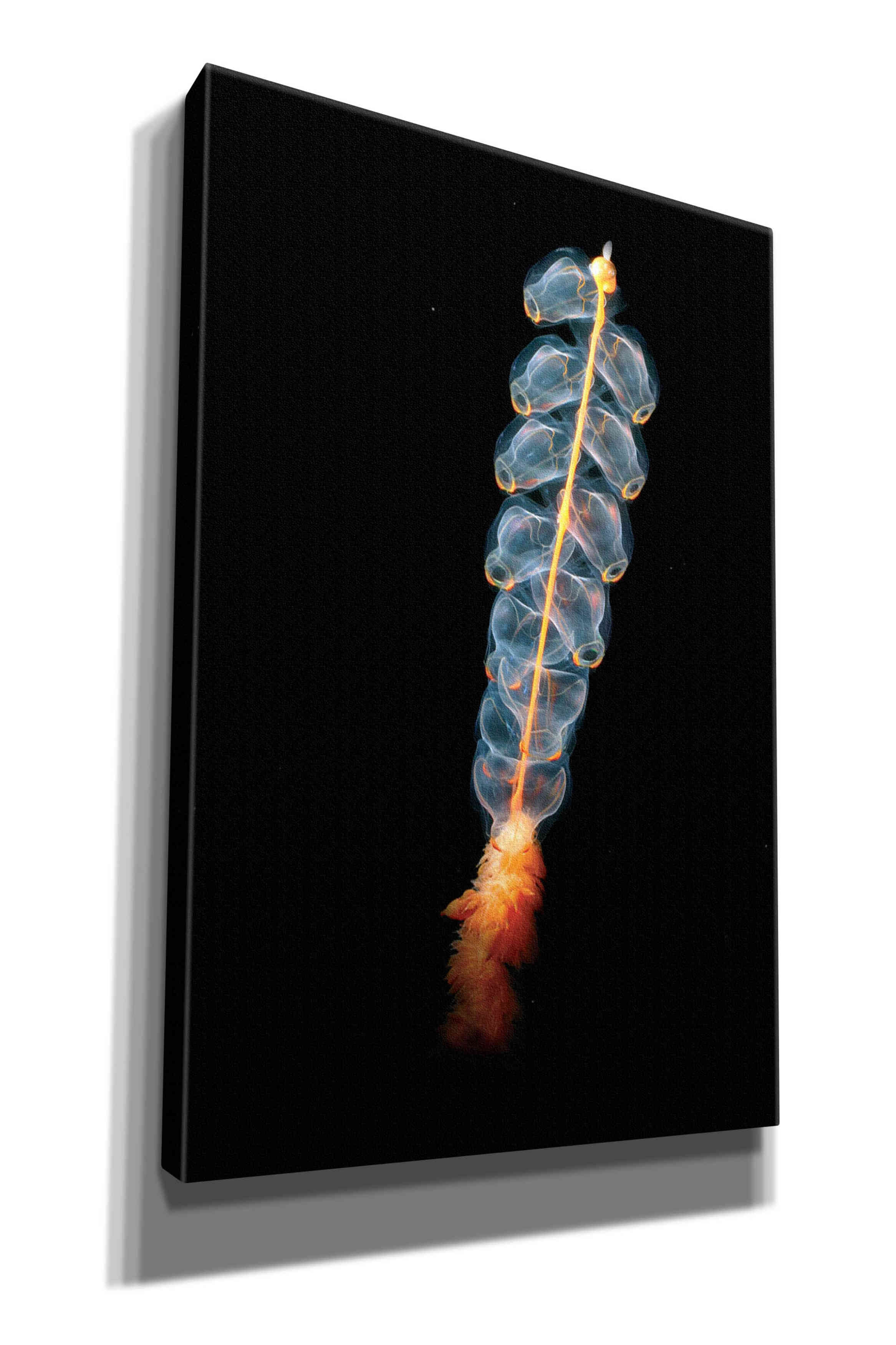 'Deep Sea Rocket' by Epic Portfolio, Giclee Canvas Wall Art