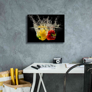 'Pepper Splash' by Epic Portfolio, Giclee Canvas Wall Art,16x12