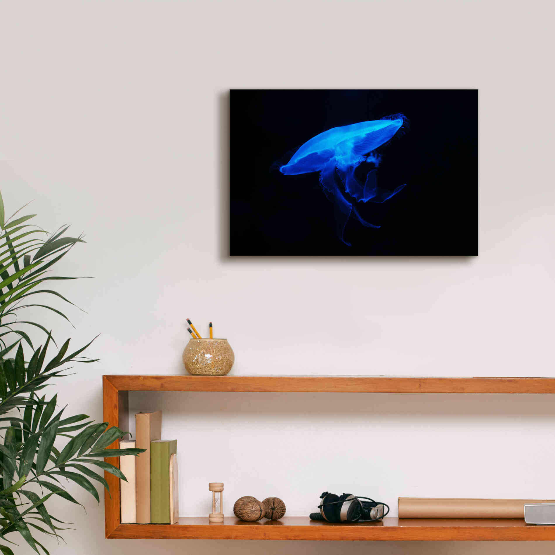 'Swan Lake' by Epic Portfolio, Giclee Canvas Wall Art,18x12