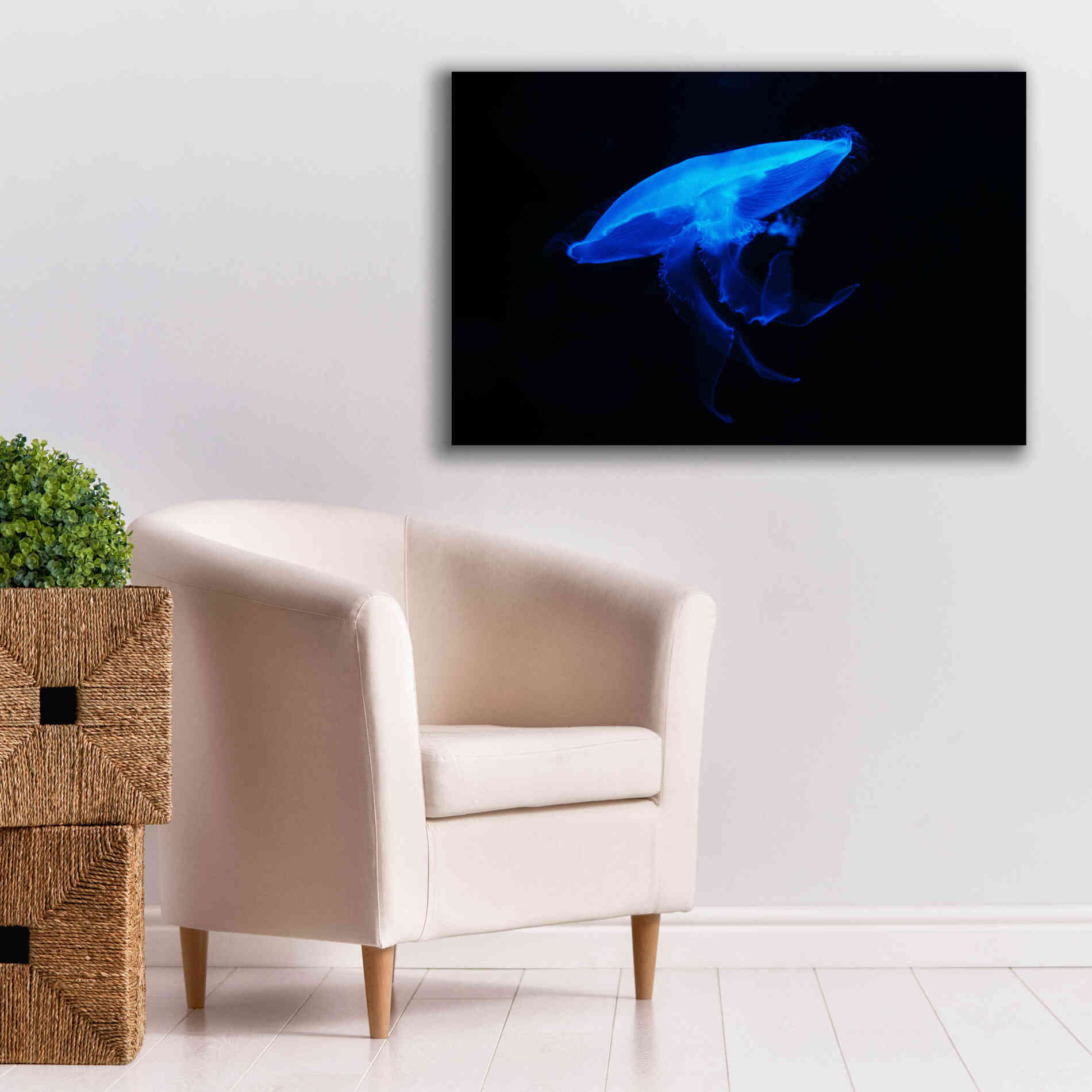 'Swan Lake' by Epic Portfolio, Giclee Canvas Wall Art,40x26
