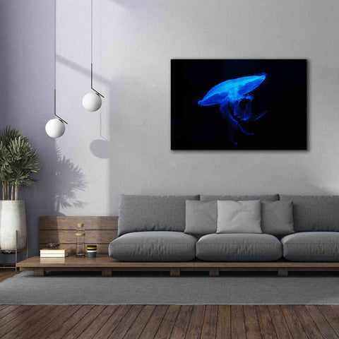 Image of 'Swan Lake' by Epic Portfolio, Giclee Canvas Wall Art,60x40