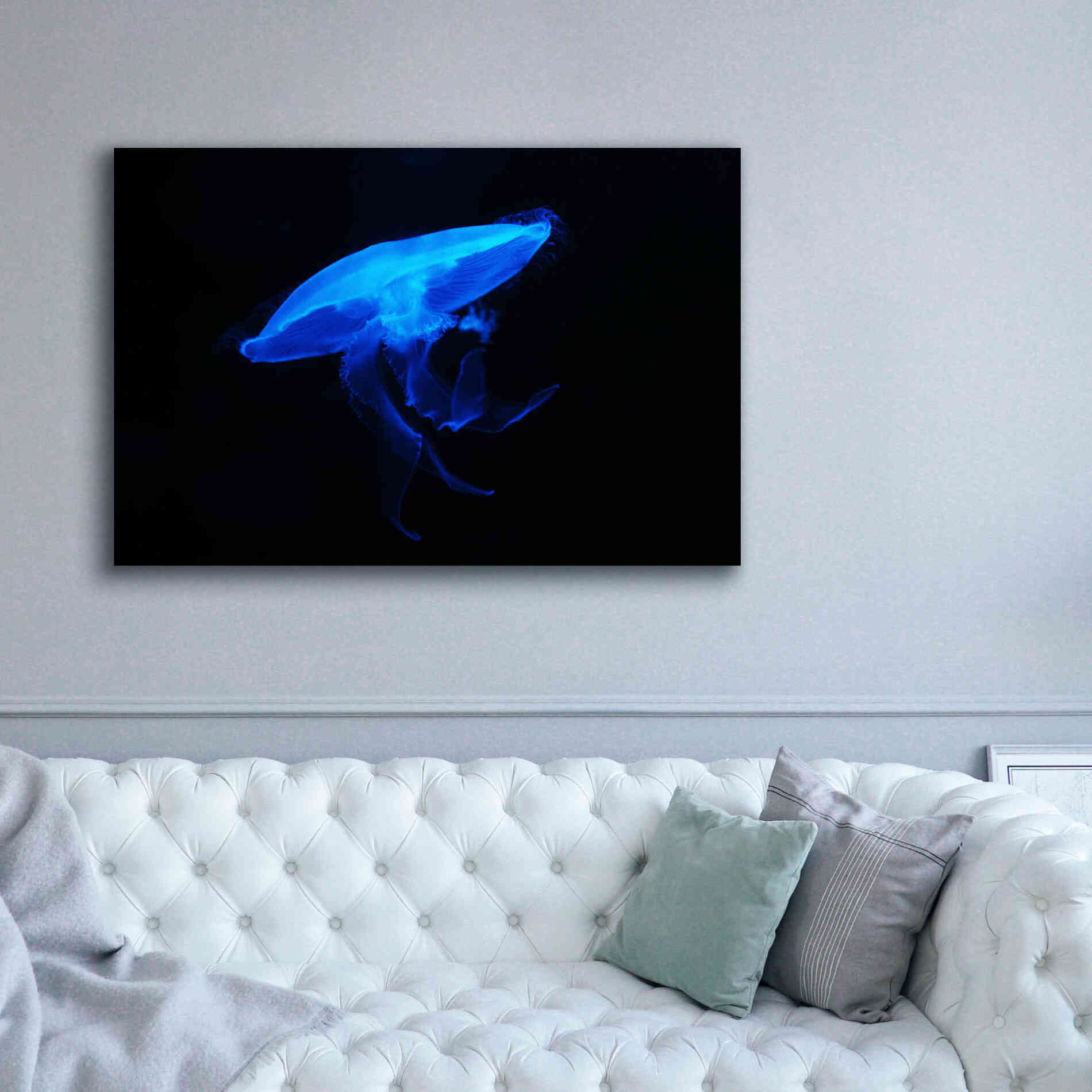 'Swan Lake' by Epic Portfolio, Giclee Canvas Wall Art,60x40