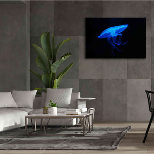 'Swan Lake' by Epic Portfolio, Giclee Canvas Wall Art,60x40