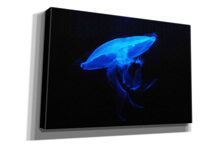 'Swan Lake' by Epic Portfolio, Giclee Canvas Wall Art