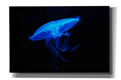 Image of 'Swan Lake' by Epic Portfolio, Giclee Canvas Wall Art