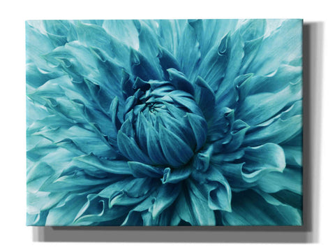 Image of 'Turquoise Dahlia' by Epic Portfolio, Giclee Canvas Wall Art