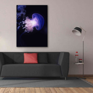 'Underwater Mushroom' by Epic Portfolio, Giclee Canvas Wall Art,40x54