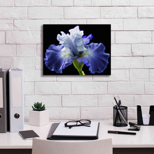 'Violet Blaze ' by Epic Portfolio, Giclee Canvas Wall Art,16x12