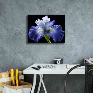 'Violet Blaze ' by Epic Portfolio, Giclee Canvas Wall Art,16x12