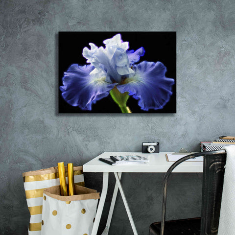 Image of 'Violet Blaze ' by Epic Portfolio, Giclee Canvas Wall Art,26x18