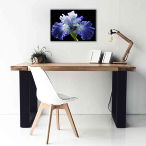 'Violet Blaze ' by Epic Portfolio, Giclee Canvas Wall Art,26x18