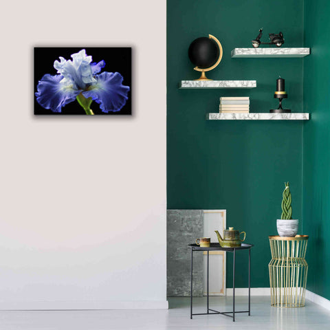 Image of 'Violet Blaze ' by Epic Portfolio, Giclee Canvas Wall Art,26x18