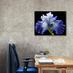 'Violet Blaze ' by Epic Portfolio, Giclee Canvas Wall Art,34x26