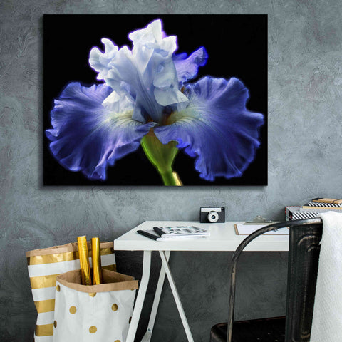 Image of 'Violet Blaze ' by Epic Portfolio, Giclee Canvas Wall Art,34x26