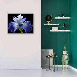 'Violet Blaze ' by Epic Portfolio, Giclee Canvas Wall Art,34x26