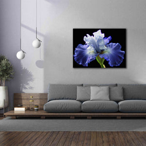 'Violet Blaze ' by Epic Portfolio, Giclee Canvas Wall Art,54x40