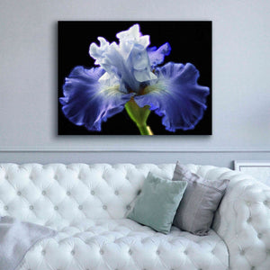 'Violet Blaze ' by Epic Portfolio, Giclee Canvas Wall Art,54x40