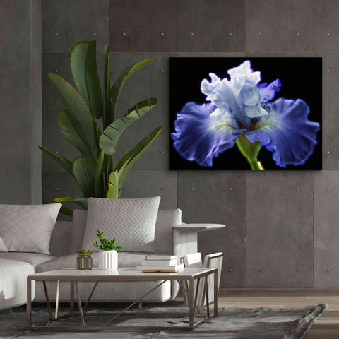 Image of 'Violet Blaze ' by Epic Portfolio, Giclee Canvas Wall Art,54x40