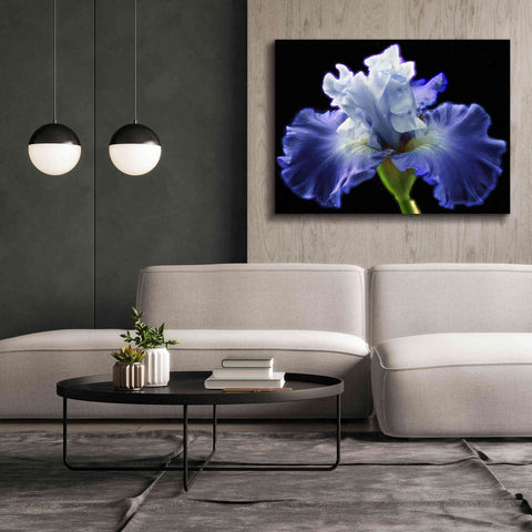 Image of 'Violet Blaze ' by Epic Portfolio, Giclee Canvas Wall Art,54x40