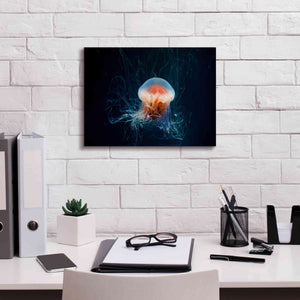'Blast Off' by Epic Portfolio, Giclee Canvas Wall Art,16x12