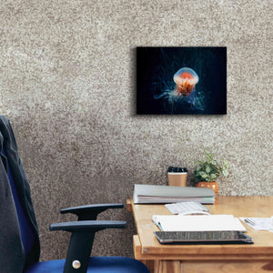 'Blast Off' by Epic Portfolio, Giclee Canvas Wall Art,16x12