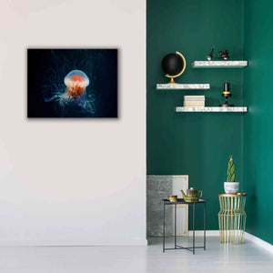 'Blast Off' by Epic Portfolio, Giclee Canvas Wall Art,34x26
