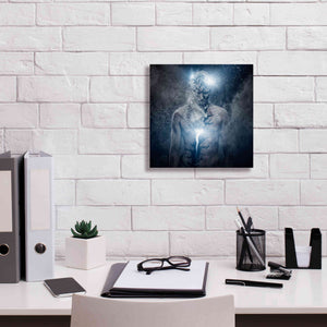 'Fleeing Of The Soul' by Epic Portfolio, Giclee Canvas Wall Art,12x12