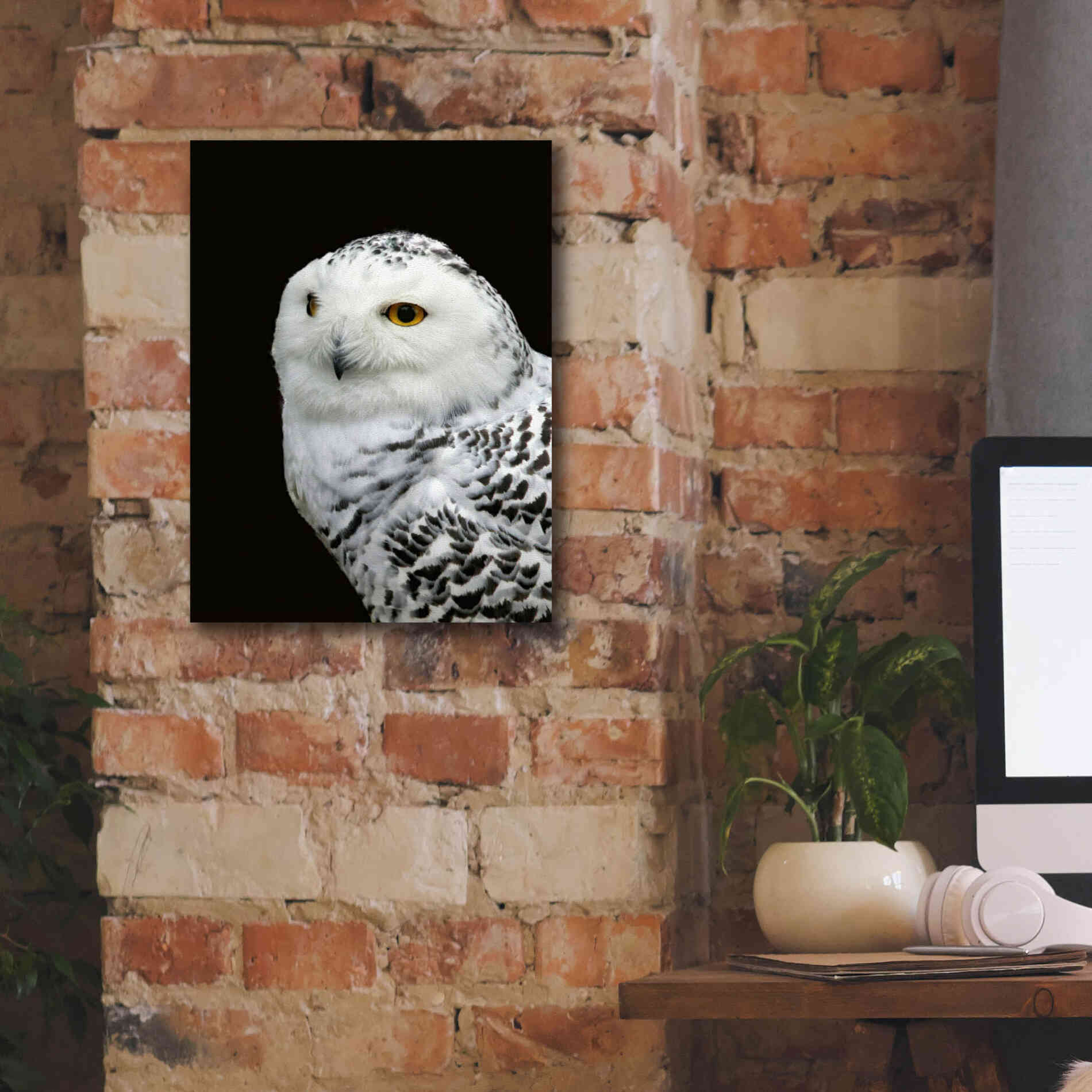 'Snowy Owl' by Epic Portfolio, Giclee Canvas Wall Art,12x16