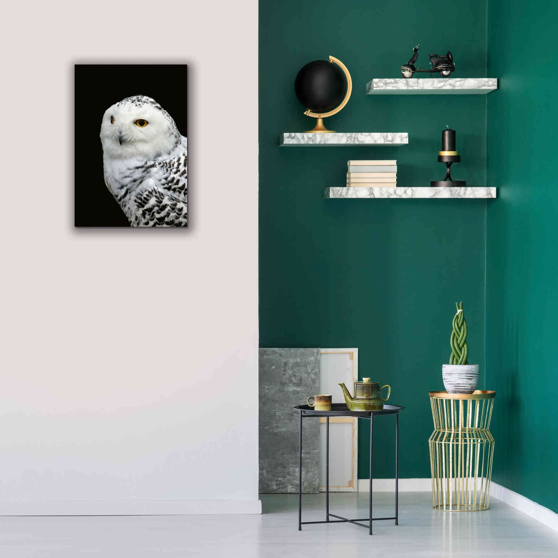 'Snowy Owl' by Epic Portfolio, Giclee Canvas Wall Art,18x26