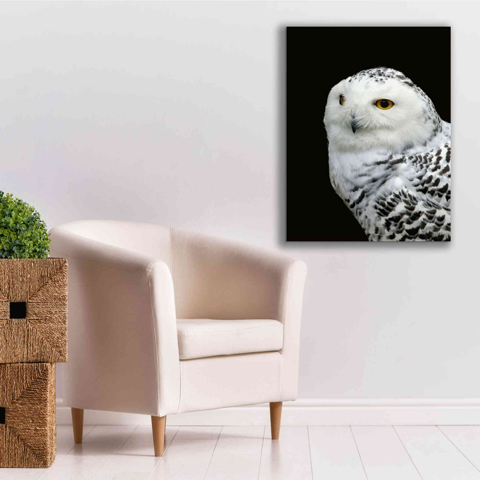 'Snowy Owl' by Epic Portfolio, Giclee Canvas Wall Art,26x34