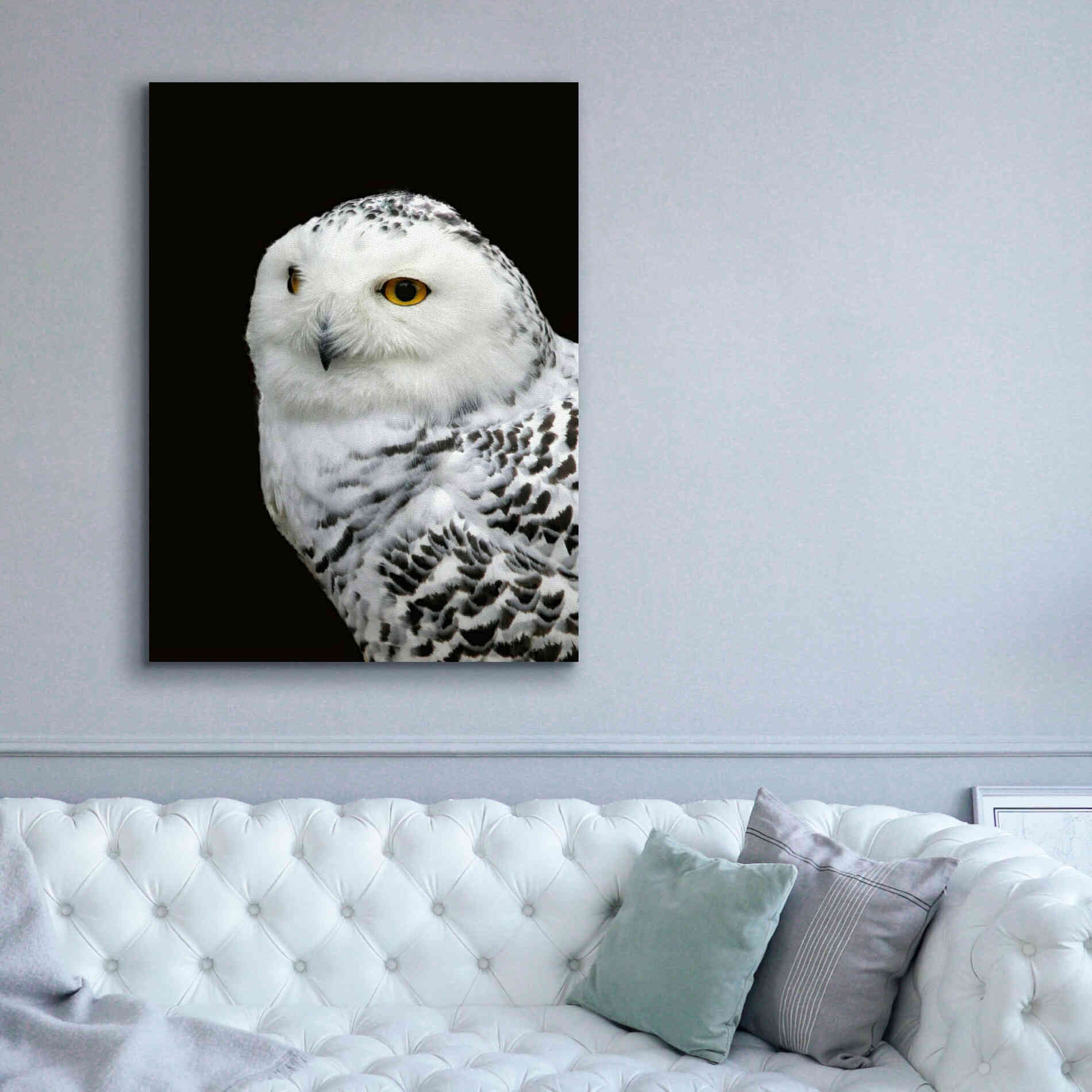 'Snowy Owl' by Epic Portfolio, Giclee Canvas Wall Art,40x54