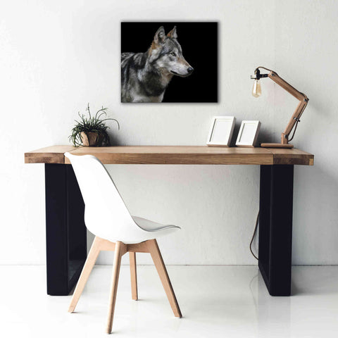 Image of 'Wolf' by Epic Portfolio, Giclee Canvas Wall Art,24x20