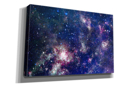 Epic Graffiti'Sublime Galaxy Crop' by Epic Portfolio, Giclee Canvas Wall Art