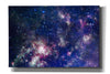 Epic Graffiti'Sublime Galaxy Crop' by Epic Portfolio, Giclee Canvas Wall Art