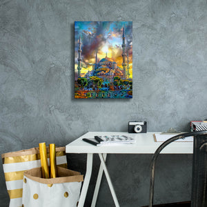 'Istanbul Turkey Blue Mosque' by Pedro Gavidia, Canvas Wall Art,12 x 16