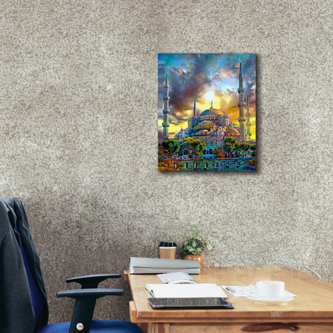 Image of 'Istanbul Turkey Blue Mosque' by Pedro Gavidia, Canvas Wall Art,20 x 24