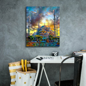 'Istanbul Turkey Blue Mosque' by Pedro Gavidia, Canvas Wall Art,20 x 24