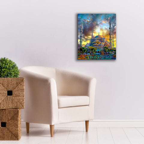Image of 'Istanbul Turkey Blue Mosque' by Pedro Gavidia, Canvas Wall Art,20 x 24