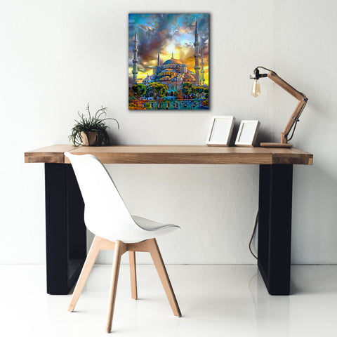Image of 'Istanbul Turkey Blue Mosque' by Pedro Gavidia, Canvas Wall Art,20 x 24