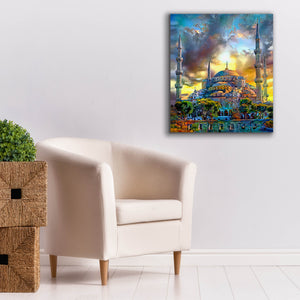 'Istanbul Turkey Blue Mosque' by Pedro Gavidia, Canvas Wall Art,26 x 30