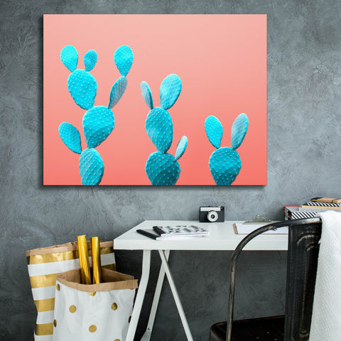 Image of 'Spikey Rabbits' by Epic Portfolio, Canvas Wall Art,34 x 26