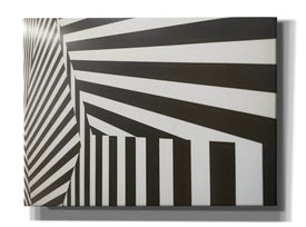 'Runover Zebra' by Epic Portfolio, Canvas Wall Art