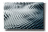 'Platinum Snake' by Epic Portfolio, Canvas Wall Art