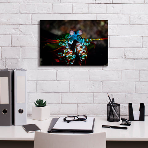 Image of 'Peacock Mantis Shrimp' by Epic Portfolio, Canvas Wall Art,18 x 12