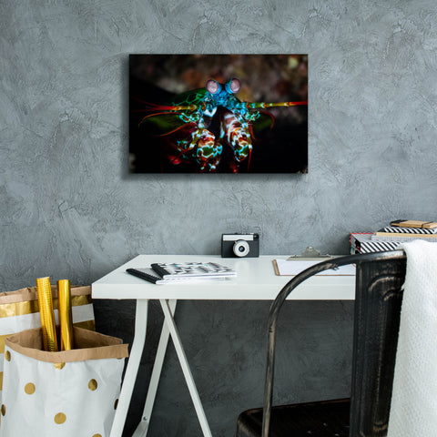 Image of 'Peacock Mantis Shrimp' by Epic Portfolio, Canvas Wall Art,18 x 12